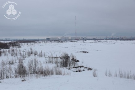 Доброе утро, друзья!. Пусть природа вдохновит вас на добрые дела и подарит умиротворение #ТРКНАДЫМ