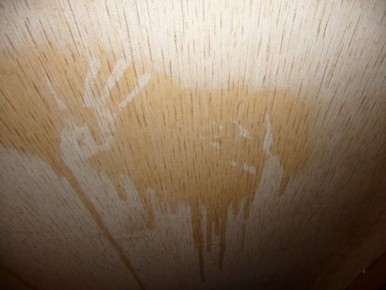 Коричневые пятна на обоях: причины и способы устранения