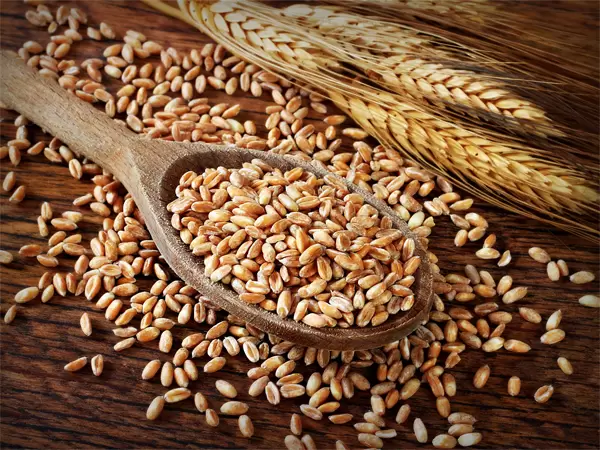 Полба: Древнее Зерно с Современным Акцентом