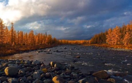 ���������������� ������ �� ��������� ���� ��������� ������ � ��������� ������