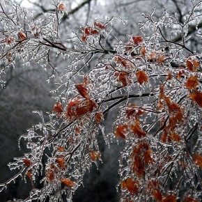 ��� ������� ����������� ����� �� ����: ����������� ������ �� ����