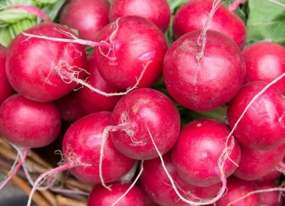 ����� � ������� ����: ������� ������ ��� ��������