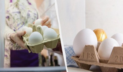 Как сохранить свежесть яиц на месяцы: секреты от экспертов