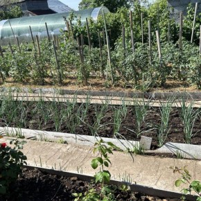 Использование спанбонда в садоводстве: практическое руководство