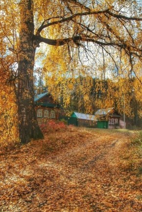 ���������� ���� � ����: ��� ��������� �������� � ���������� ������ ������