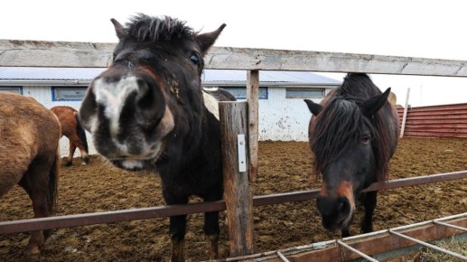 ������� ����, ��������!. ������� ��������� ��������� ������, ��� �������