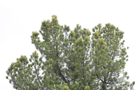 Доброе утро и хорошего дня!