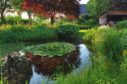 �������� ���������� ����� �� ����: ������ �� ���������� � ������ ����������