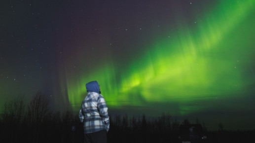 �������� ������ �� ��������