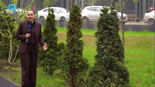 ����� ���� �� �����: ���� ���������� �������� ��������