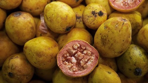 ������: ����������, ������� ������� ������ ��������� ����������� ���