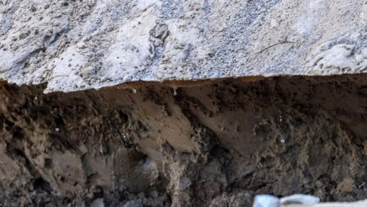 ������ ������ ���������� �� ��������� �� �����