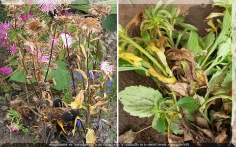 ������� ����� ���� � ������: ��� ����� �� ��������� � �� �����������