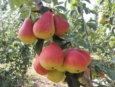 ����� ��� ������� ������: ��� ������� ������ �����