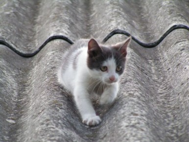 ��� �������� ������ �� �����: 10 �������� �������