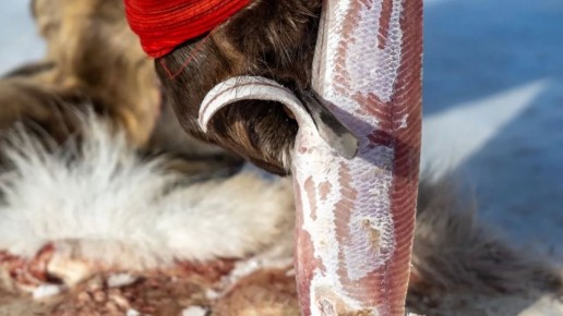 � ��������� ������ ������� �����