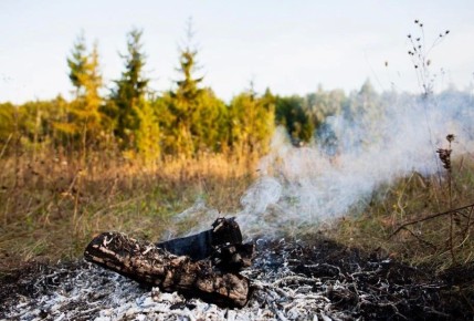 �� ����� � 20 ��� �������� ������������� �����