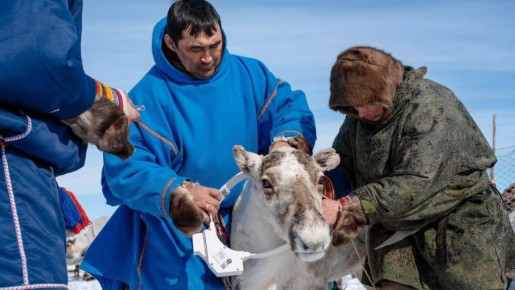 � ���� ���������� ���������� ��������� ������� ����������� ������ � �������������� ������������ ����������� �������������� ���������