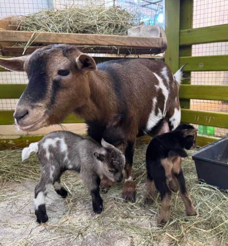 � ������� ���������� ������ ������� ����������