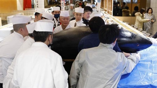 ��������� ������� ������ ��������� �������� ����� �� 255 ��������� ������