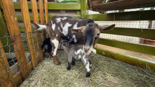 ���� ������ �� ����: : � ����� ������� �������� ����������� ������