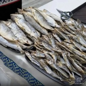 ����� ������ � ������ ����� - ������ �������