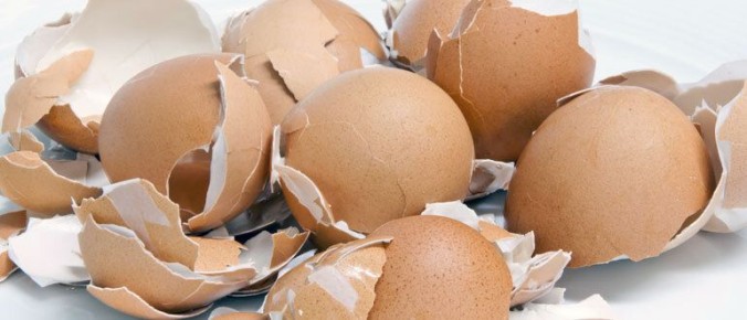 ���������� ������ �������������� ������ �������� � ����������� ���������