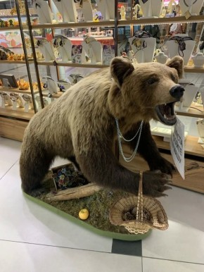 �� ������ ��������� ������� ������ �������