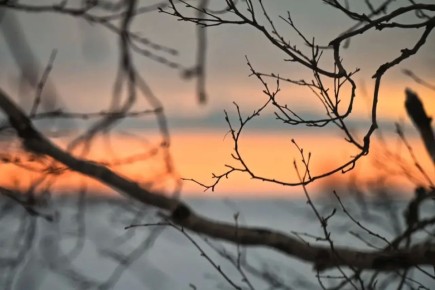 ��������� ��������������� �������� �������