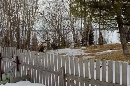 � ������������ ������ ������� ����� � �����