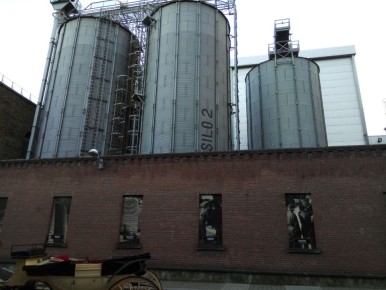 ����� ���� �������� � �������