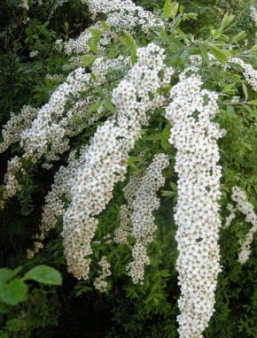 ������: ������� ������, ������� � �����