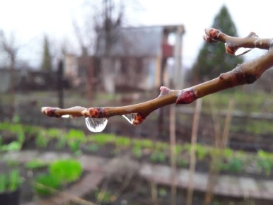 ����� ���������� ��������� �����: ����� �� ������� �� ����?