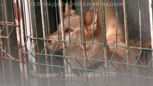 ��������� � ������������� ����� ��� �������� �� ���� �������� ������!