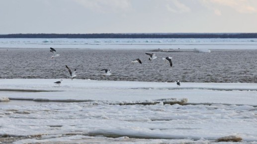 ������ ��������� ����� ������� �� ��������� ������