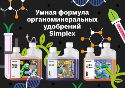 ����������������� ��������� Simplex: ��������� ��� ��������� �����������