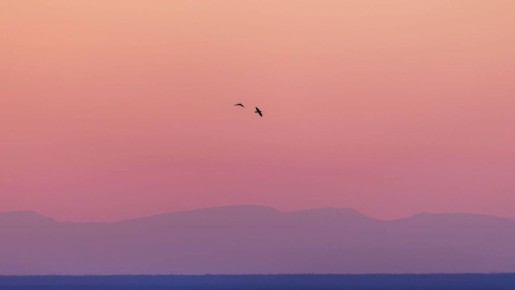 ������� �������� �������: ������, ����, �������� � ������ ���