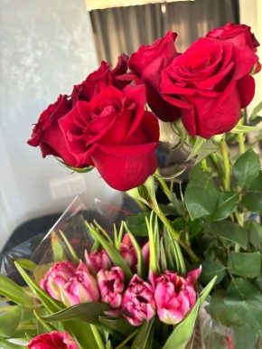 ��� �� ������ ������� ���������� �������: ������ �� ����������