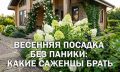 ������� ��������: ����� �������� ��������, ������� ������ ����������� �� ����