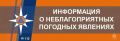 �� ������ ���������� 11 ��� �� ���������� ������ �������������� ��������������� �������� �������: