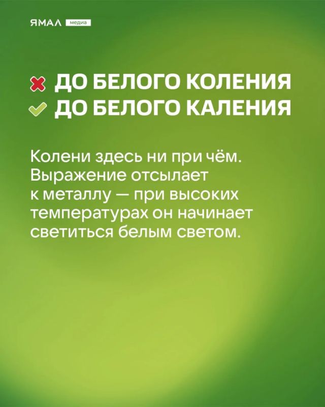 «Скрипя сердцем, он довёл себя до белого коления…»