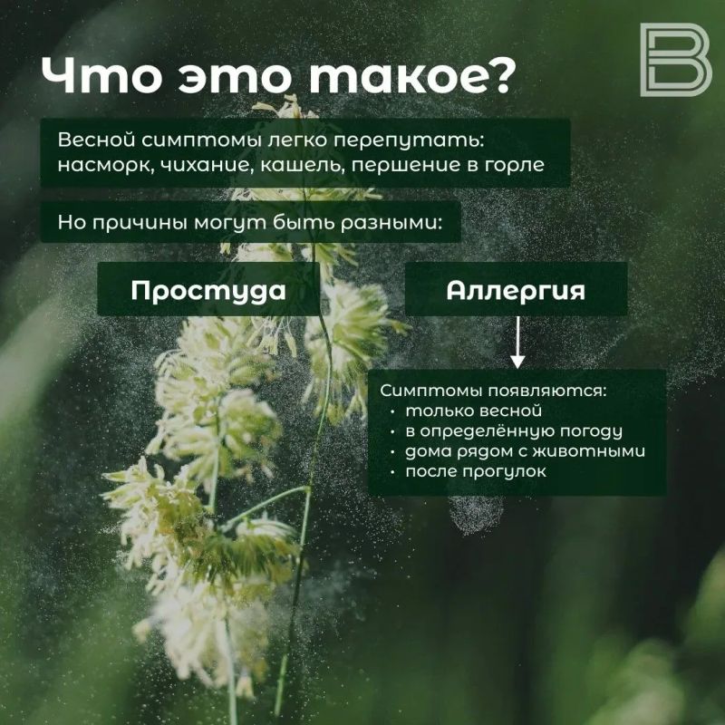 Весенняя аллергия: причины, симптомы и способы защиты Весенняя аллергия: причины, симптомы и способы защиты
