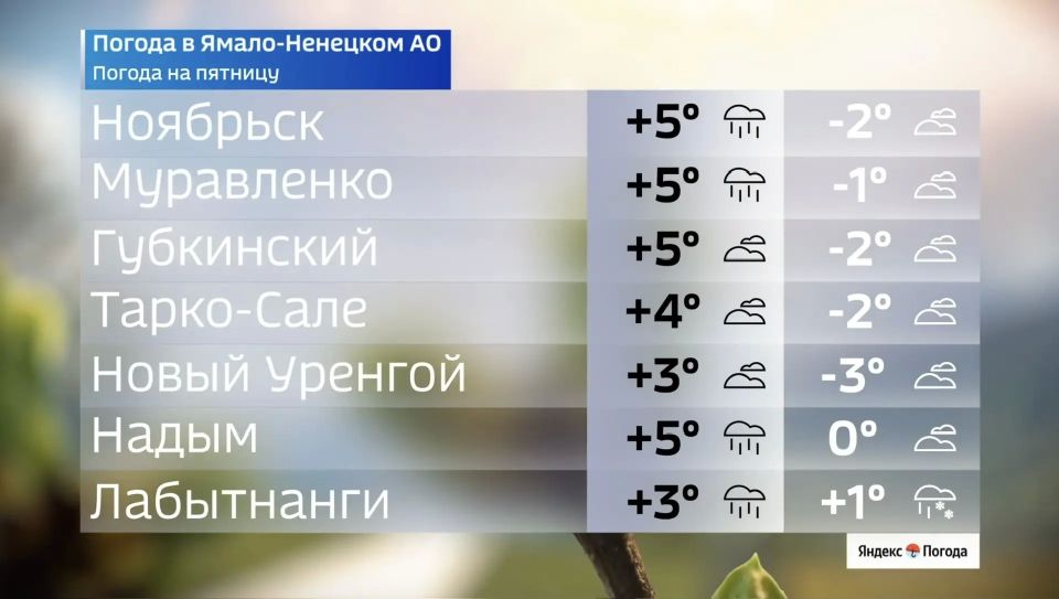 Май на Ямале удивляет контрастами: прогноз на 22 мая