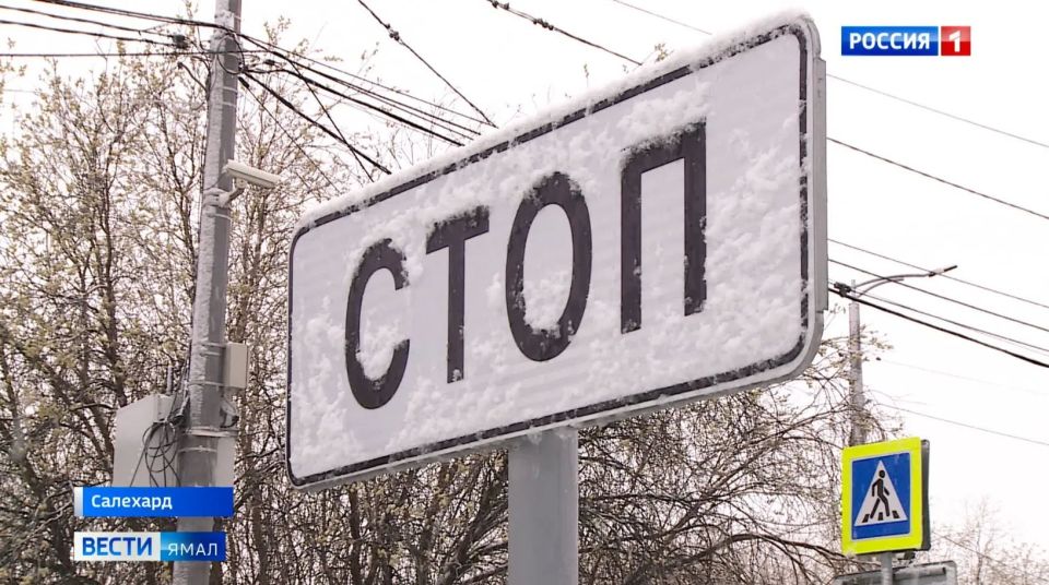Зима решила взять реванш: когда салехардцы уже убрали пуховики, окружную столицу накрыл обильный снегопад Зима решила взять реванш: когда салехардцы уже убрали пуховики, окружную столицу накрыл обильный снегопад