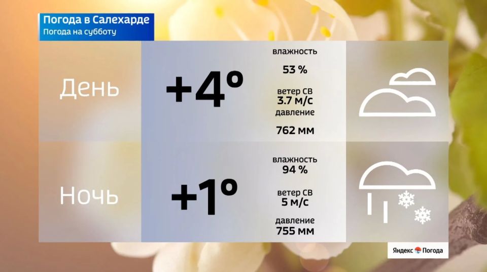 Переменная облачность и небольшие заморозки ожидаются на Ямале 23 мая Переменная облачность и небольшие заморозки ожидаются на Ямале 23 мая