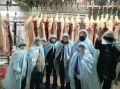 Школьная экскурсия в Красноярском крае неожиданно обернулась шоком