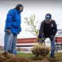 У здания речного вокзала Салехарда появилась новая зелёная аллея – деревья высадили участники форума «Диалог парламентариев»