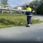 � ��������� ���������� ������ �� ������ �����