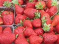 Как дачники секретно подкармливают клубнику для гигатных ягод