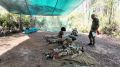 Сильные, ловкие и смелые осваивают военные специальности в полевых условиях